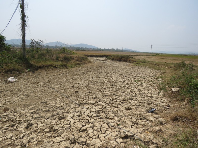 Gần 5.900 nông hộ nhỏ tỉnh Đắk Lắk được hưởng lợi từ Dự án SACCR