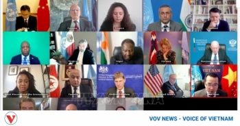 Vietnam shares development experience via digital technology at UN session