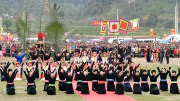 nhung le hoi tu nam ra bac khong the bo lo trong dip tet canh ty 2020