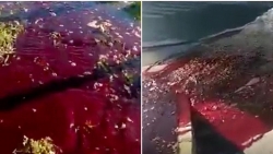 Video: Sau trận động đất, mặt đường bất ngờ bị nhuộm đỏ ở Thổ Nhĩ Kỳ