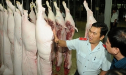 Cật lực phòng chống dịch tả lợn châu Phi, nhiều người vẫn bán "chui"