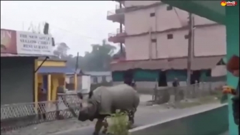video te giac vo tu di lai tren pho canh tuong hiem chi co khi covid 19 hoanh hanh