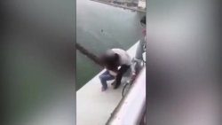Video: Thót tim với màn giải cứu cô gái nhảy cầu tự tử ở Đà Nẵng