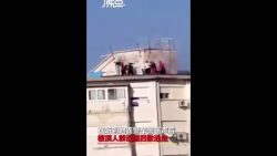 Video: Cảnh sát Italia đi trực thăng bắt nhóm người tụ tập nhậu nhẹt trên tầng thượng khi đang phong tỏa vì COVID-19