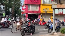 ha noi tphcm va cac tinh tap nap tro lai