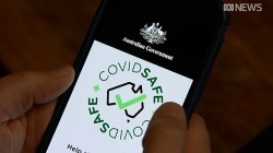 Video: Cận cảnh phần mềm truy dấu vết người nhiễm COVID-19 của Australia