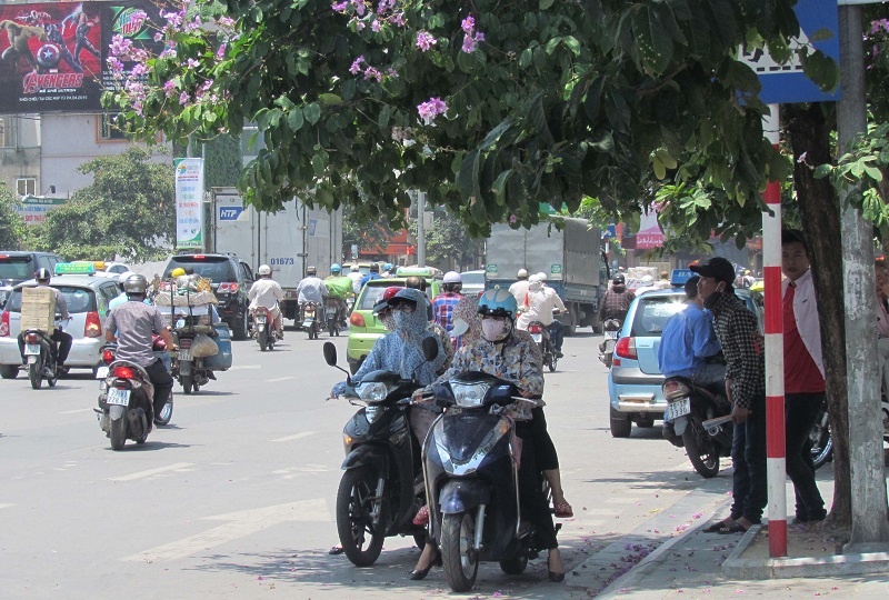 chum anh muon kieu tranh nong cua nguoi ha noi trong chao lua hon 40 do c