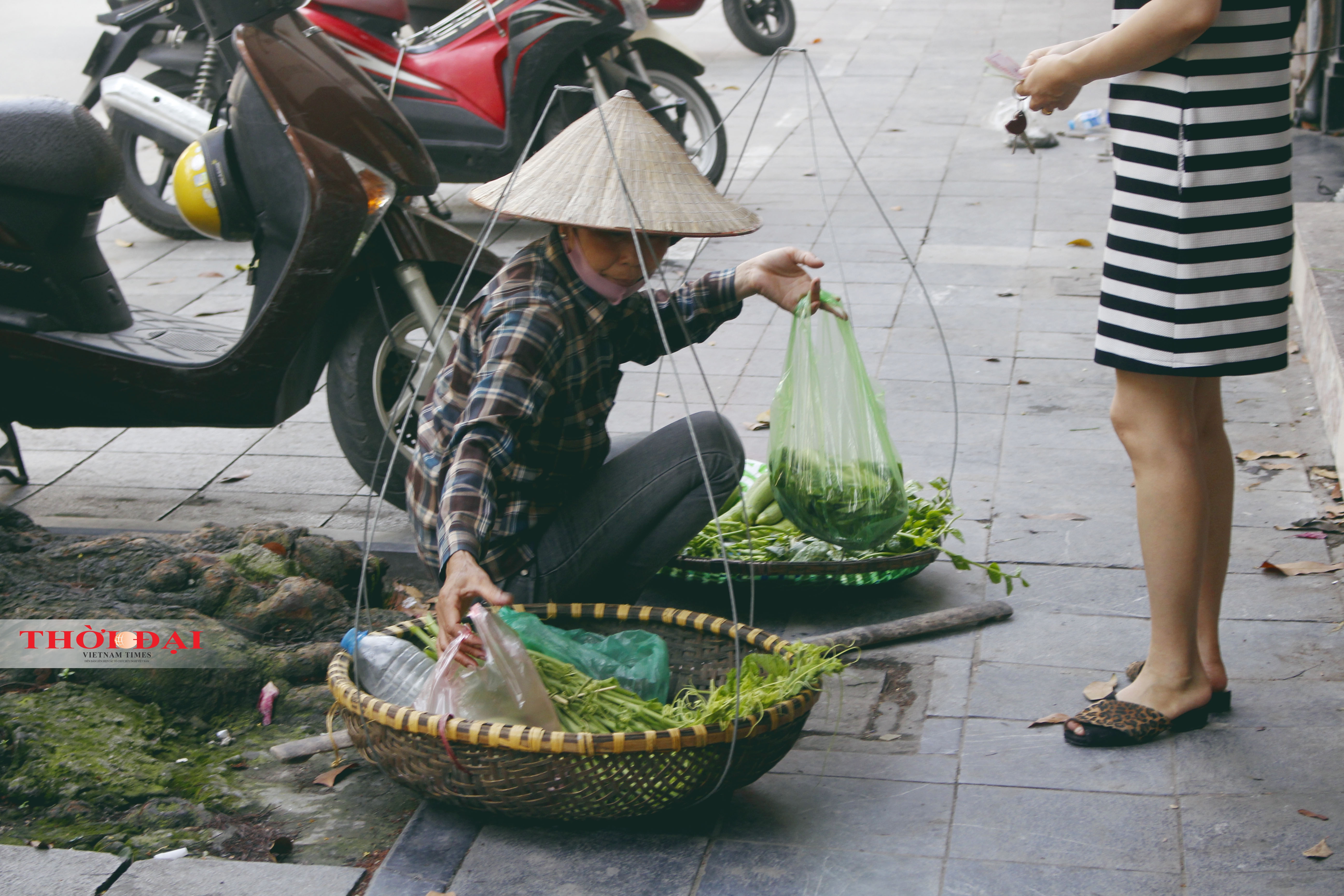 chum anh cuoc song cua nguoi dan o ha noi trong trang thai binh thuong moi