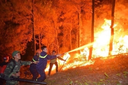ẢNH: Cháy rừng ở Hà Tĩnh, Nghệ An tái bùng phát, lập đường băng trắng cản lửa