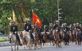 Ngựa của Cảnh sát cơ động kỵ binh có nguồn gốc từ đâu, nước nào?