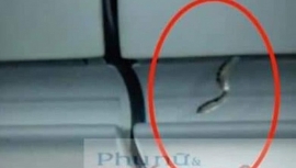 tin moi vu ran xuat hien tren chuyen bay tu tp hcm di ha noi