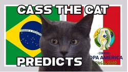Mèo Cass tiên tri sốc kết quả Brazil vs Peru tại chung kết Copa America 2019