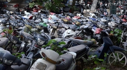 Hơn 1000 phương tiện vi phạm giao thông được bán đấu giá ở Hà Nội