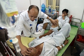 Trong vòng 1 tuần, Hà Nội ghi nhận 115 trường hợp mắc sốt xuất huyết