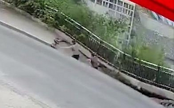 clip hai hung khoanh khac ho tu than nuot chung 2 nguoi di bo