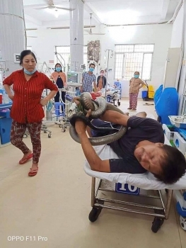 Tây Ninh: Bị rắn hổ mang cắn, người đàn ông mang luôn "thủ phạm" vào bệnh viện để điều trị