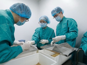 Quyền Bộ trưởng Y tế: Sớm nhất 6 tháng cuối năm 2021 Việt Nam mới có vaccine ngừa COVID-19