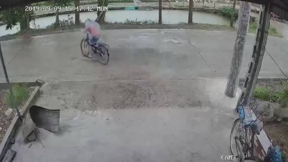 video truy tim tai xe dam vang be trai roi bo mac dau don duoi mua