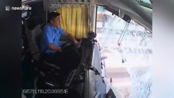 Video: Cái kết đắng của tài xế ngồi nghịch bút trong khi đang lái xe khách