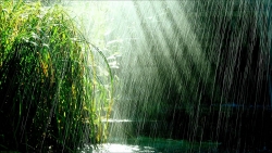 Thời tiết Hà Nội đến ngày 9/10, lúc nắng lúc mưa thất thường