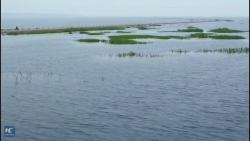 Video: Choáng với con đường dưới nước chia đôi mặt hồ như trong phim viễn tưởng