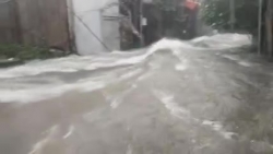 Video: Nước chảy cuồn cuộn như lũ quét trong cơn mưa lớn ở Nghệ An