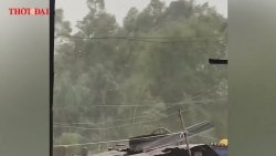 Video: Toàn cảnh bão số 5 càn quét dữ dội ở Trung Bộ và Tây Nguyên