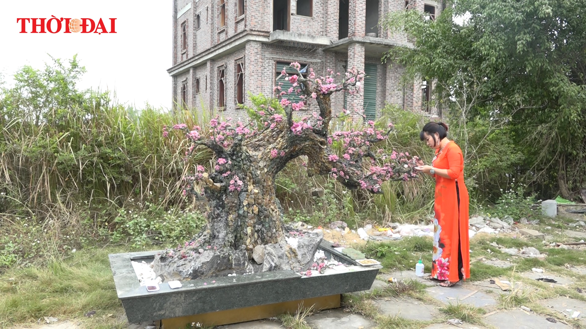 Video: Cây đào làm toàn bằng đá quý giá 700 triệu đồng ở Hà Nội nhưng chủ nhân không bán