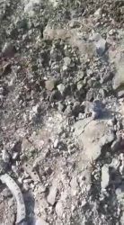 video quan doi syria vo bo trong khi dang di tuan tra