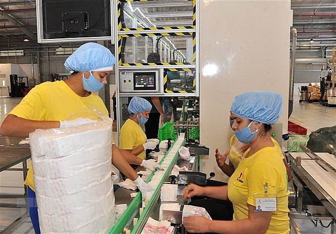 Hoạt động sản xuất của Công ty Cổ phần Đầu tư Thương mại Thái Bình tại Cuba.