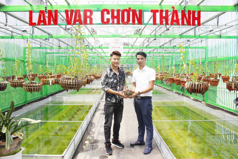 Doanh nhân Hồ Trọng Long câu chuyện khởi nghiệp từ đam mê trồng hoa lan