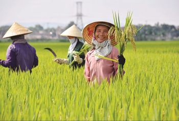Chính phủ ban hành nghị quyết bảo đảm đủ lương thực, thực phẩm trong mọi tình huống Chính phủ ban hành nghị quyết bảo đảm đủ lương thực, thực phẩm trong mọi tình huống
