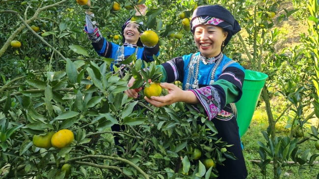 Những phụ nữ vùng cao "xé rào" định kiến