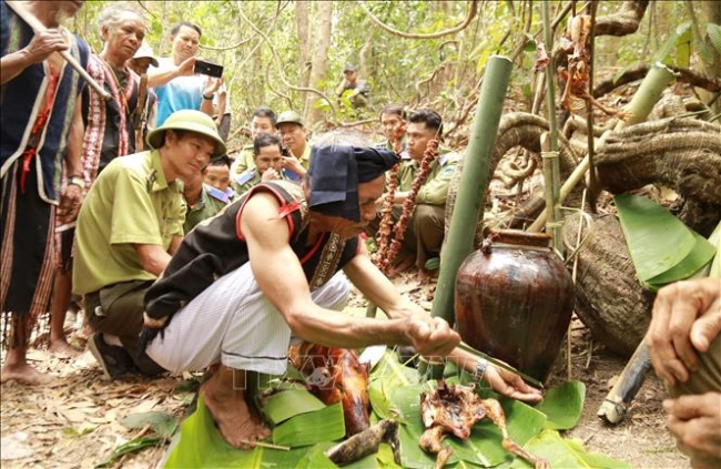 Nghi thức cúng Thần rừng ở Ia Grai