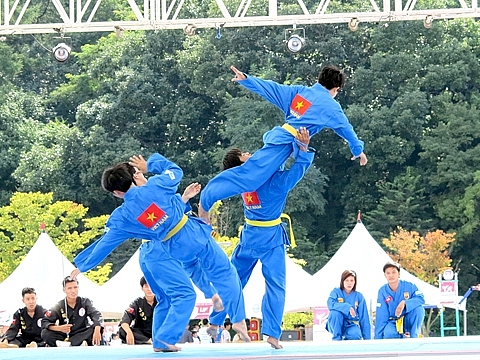 Muay Thái và Vovinam, hai phong cách của tinh thần  thượng võ