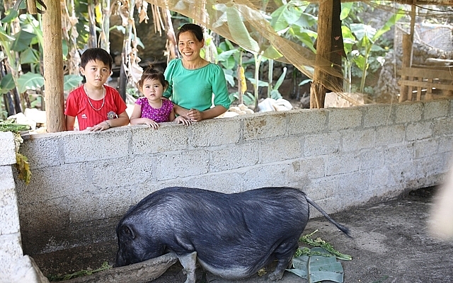 childfund viet nam trien khai nhieu hoat dong gop phan nang cao doi song cua nguoi dan cao bang