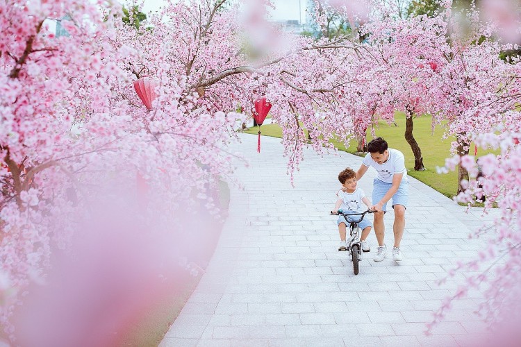Công viên Nhật Bản – Zen Park chính là một trong những lý do quan trọng khiến người Nhật quyết định sinh sống tại Vinhomes Smart City.