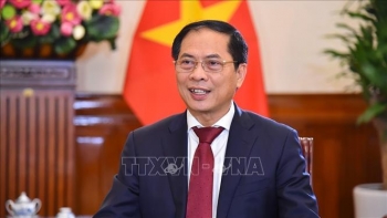 Bộ trưởng Ngoại giao Bùi Thanh Sơn trả lời phỏng vấn về kết quả chuyến công tác Campuchia của Thủ tướng Phạm Minh Chính