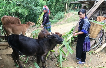 Tỷ lệ hộ nghèo tại Yên Bái giảm nhanh gấp hơn 3 lần mục tiêu giảm nghèo của cả nước