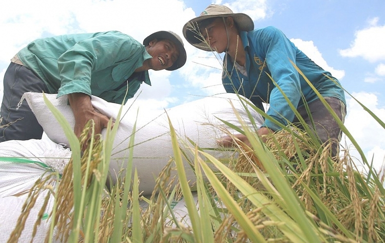 UNDP: Thành tựu giảm nghèo của Việt Nam rất ấn tượng và được quốc tế công nhận