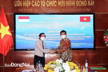 dafo tang cuong cac hoat dong giao luu van hoa viet nam indonesia