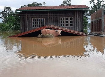 Hơn 6.500 người sẽ được nâng cao kỹ năng ứng phó thiên tai