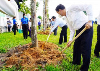 Cần Thơ đặt mục tiêu trồng gần 7 triệu cây xanh giai đoạn 2021 - 2025