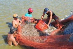 lan dau tien viet nam co san giao dich tom