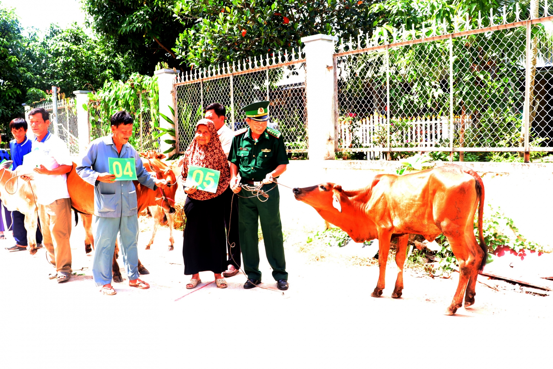 trao tang 15 con bo giong cho nong dan ngheo khu vuc bien gioi viet nam campuchia