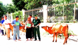 Trao tặng 15 con bò giống cho nông dân nghèo khu vực biên giới Việt Nam – Campuchia