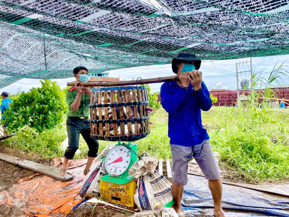 Hành trình 200 tấn gạo và 27 tấn cá tươi đến tay người dân gặp khó do dịch Covid-19