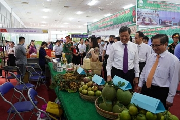 100 đơn vị trong và ngoài nước tham gia Khai mạc Hội chợ Nông nghiệp Quốc tế tại Cần Thơ