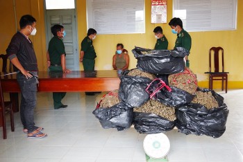 Bộ đội Biên phòng An Giang liên tiếp bắt 02 vụ vận chuyển 40 kg cần sa