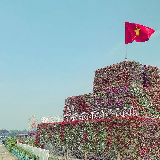 Việt Nam bừng sắc hoa